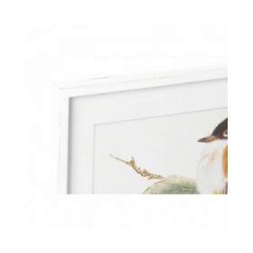 Quadro DKD Home Decor 60 x 2,5 x 60 cm Uccello Shabby Chic (4 Pezzi)