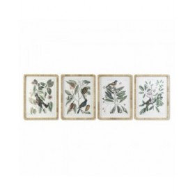 Quadro DKD Home Decor 50 x 2,5 x 65 cm Shabby Chic Piante botaniche (4 Pezzi)