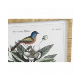 Quadro DKD Home Decor 50 x 2,5 x 65 cm Shabby Chic Piante botaniche (4 Pezzi)