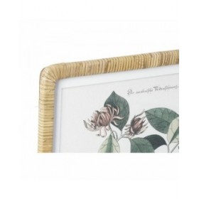 Quadro DKD Home Decor 50 x 2,5 x 65 cm Shabby Chic Piante botaniche (4 Pezzi)