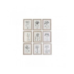 Quadro DKD Home Decor Palme Coloniale (35 x 1,8 x 45 cm) (9 Unità)