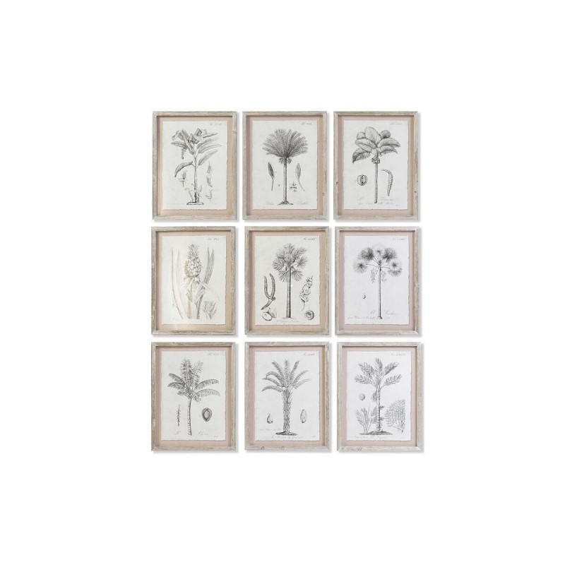 Quadro DKD Home Decor Palme Coloniale (35 x 1,8 x 45 cm) (9 Unità)