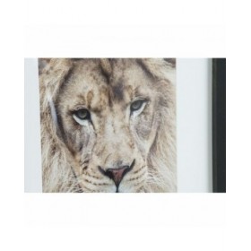 Quadro DKD Home Decor Coloniale Giungla (35 x 2,5 x 45 cm) (35 x 2 x 45 cm) (4 Unità)