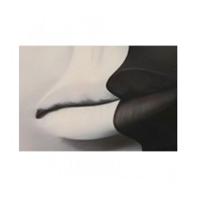 Quadro DKD Home Decor Donna (80 x 3 x 120 cm) (2 Unità)