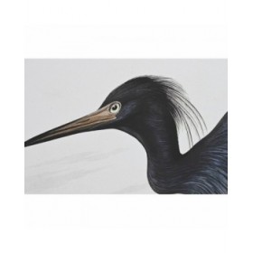 Quadro DKD Home Decor 63 x 4 x 93 cm Uccello Orientale (2 Unità)