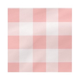 Cuscino HappyFriday Basic Rosa Vichy 60 x 40 cm