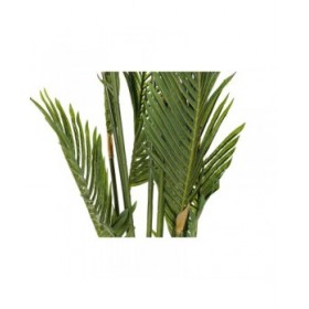 Pianta Decorativa DKD Home Decor Palme Verde PE (50 x 50 x 180 cm)