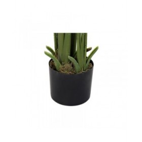 Pianta Decorativa DKD Home Decor Palme Verde PE (50 x 50 x 180 cm)