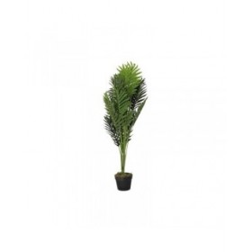Pianta Decorativa DKD Home Decor Palma 40 x 40 x 100 cm Polietilene Verde Città