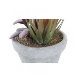 Pianta Decorativa DKD Home Decor Rosso Grigio Arancio EVA PE (16 x 12,5 x 19,5 cm) (2 Unità)