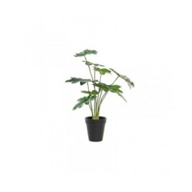 Pianta Decorativa DKD Home Decor Verde PE (20 x 20 x 40 cm)