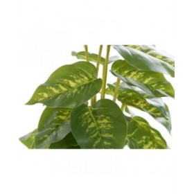 Pianta Decorativa DKD Home Decor PVC polipropilene 20 x 20 x 30 cm