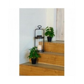 Pianta Decorativa DKD Home Decor PVC polipropilene 20 x 20 x 30 cm