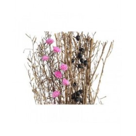 Mazzo DKD Home Decor Rosa Marrone Bianco Fiore secco (2 Unità) (30 x 30 x 65 cm)