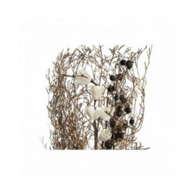 Mazzo DKD Home Decor Rosa Marrone Bianco Fiore secco (2 Unità) (30 x 30 x 65 cm)