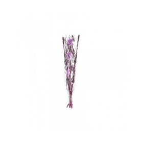Mazzo DKD Home Decor Rosa Lilla Bianco Fiore secco (30 x 30 x 100 cm) (2 Unità)