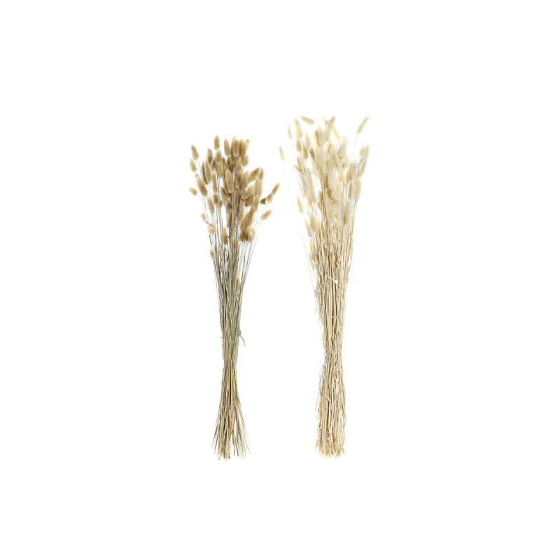 Mazzo DKD Home Decor Beige Marrone Fiore secco (12 x 12 x 76 cm) (2 Unità)