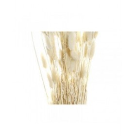 Mazzo DKD Home Decor Beige Marrone Fiore secco (12 x 12 x 76 cm) (2 Unità)