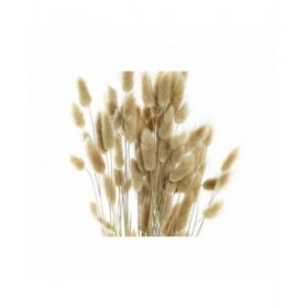 Mazzo DKD Home Decor Beige Marrone Fiore secco (12 x 12 x 76 cm) (2 Unità)