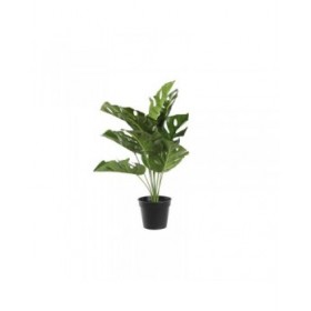 Pianta Decorativa DKD Home Decor Monstera Verde PP PE (48 x 42 x 51 cm)