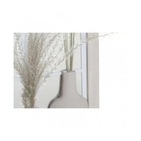Specchio da parete DKD Home Decor Beige Vaso Cottage 35 x 10 x 50 cm