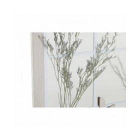 Specchio da parete DKD Home Decor Beige Vaso Cottage 35 x 10 x 50 cm