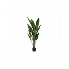 Pianta Decorativa DKD Home Decor 50 x 50 x 160 cm Polietilene Verde Uccello del Paradiso Città