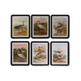 Quadro DKD Home Decor Cristallo Legno MDF Uccelli (40 x 50 x 1,8 cm) (6 Unità)