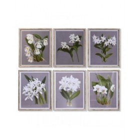 Quadro DKD Home Decor Abete Cristallo 50 x 60 x 2,8 cm 50 x 2,8 x 60 cm Fiori (6 Pezzi)