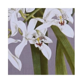 Quadro DKD Home Decor Abete Cristallo 50 x 60 x 2,8 cm 50 x 2,8 x 60 cm Fiori (6 Pezzi)