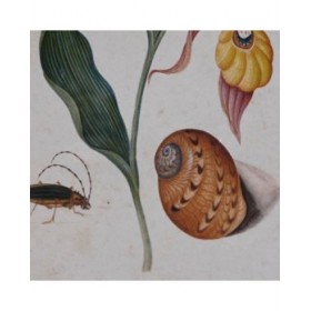Quadro DKD Home Decor Abete Cristallo 50 x 65 x 2,5 cm 50 x 2,5 x 65 cm 50 x 2,5 x 70 cm Fiori (4 Pezzi)