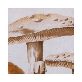 Quadro DKD Home Decor Cristallo 50 x 70 x 2,8 cm 50 x 2,8 x 70 cm Funghi (2 Unità)