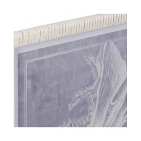 Quadro DKD Home Decor Cristallo Conchiglia 50 x 2 x 60 cm 50 x 60 x 2,5 cm (4 Pezzi)