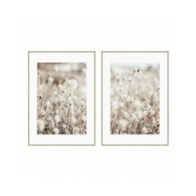 Quadro DKD Home Decor Fiori Scandinavo 75 x 4 x 100 cm (2 Unità)