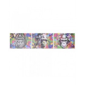 Quadro DKD Home Decor Gorilla Moderno (70 x 1,8 x 50 cm) (3 Unità)