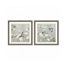 Tela DKD Home Decor 63 x 3 x 63 cm 60 x 3 x 60 cm Uccelli Shabby Chic (2 Unità)
