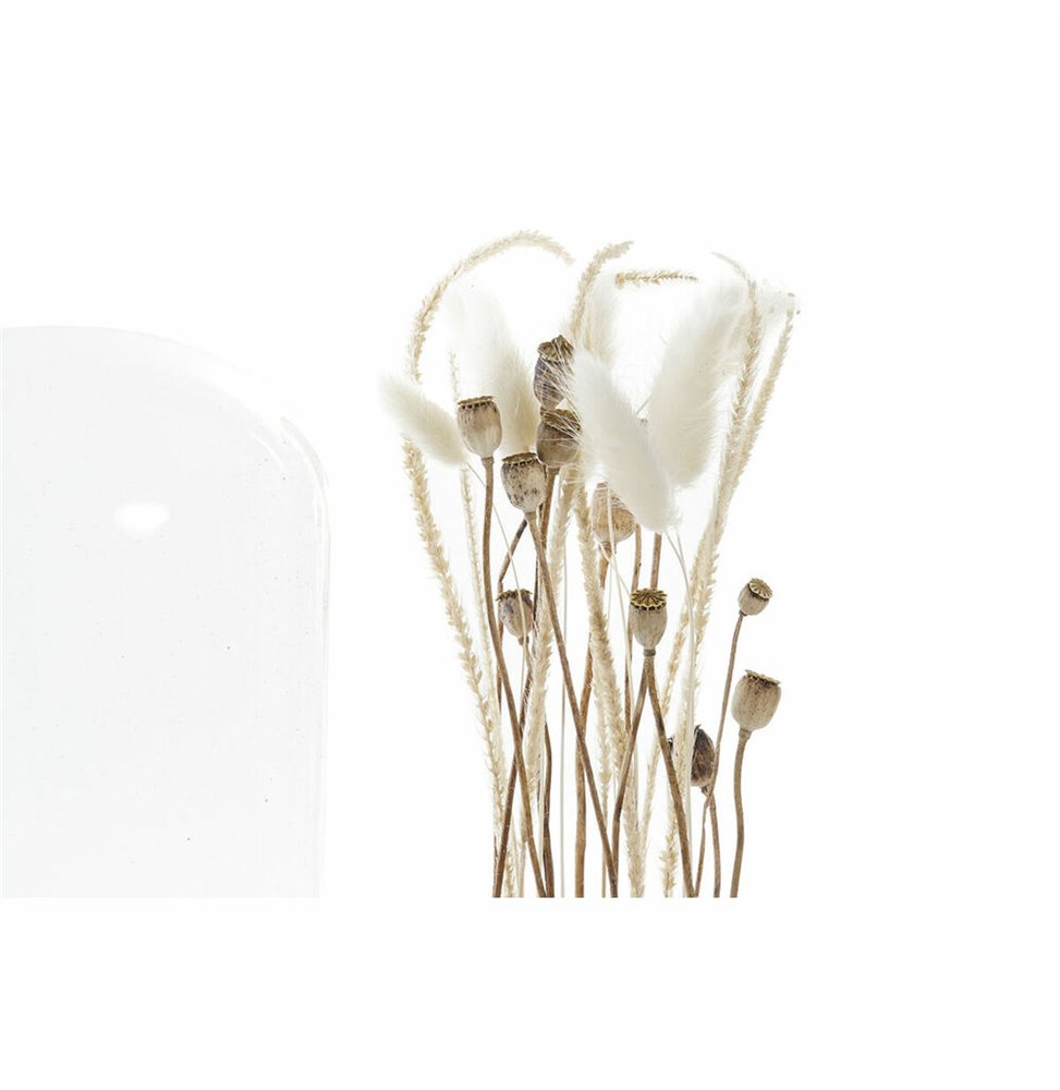 Set di Lenzuola Tejidos Reina TOPOS Singolo