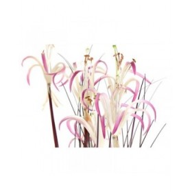Pianta Decorativa DKD Home Decor 45 x 45 x 140 cm Metallo Arancio Verde Bordeaux PVC (2 Unità)