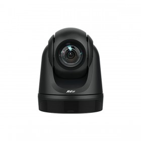 Webcam AVer DL30