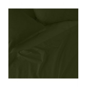 Lenzuolo con angoli aderenti HappyFriday Basic Verde scuro 200 x 200 x 32 cm