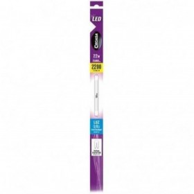 Lampadina LED Cegasa