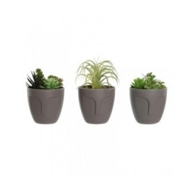 Pianta Decorativa DKD Home Decor Grigio Beige Polietilene Verde polipropilene (11 x 11 x 15 cm) (3 Unità)