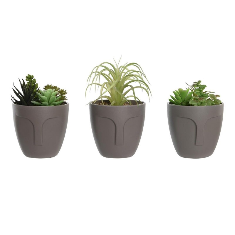 Pianta Decorativa DKD Home Decor Grigio Beige Polietilene Verde polipropilene (11 x 11 x 15 cm) (3 Unità)
