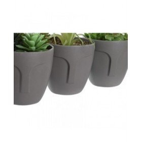 Pianta Decorativa DKD Home Decor Grigio Beige Polietilene Verde polipropilene (11 x 11 x 15 cm) (3 Unità)