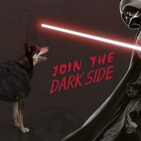 Felpa per Cani Star Wars XS Nero