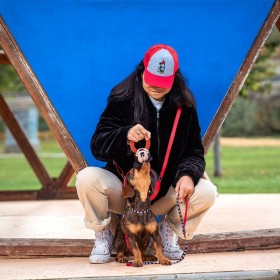 Giocattoli per cani Mickey Mouse   Rosso