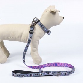 Collare per Cani Disney Villains Grigio M/L