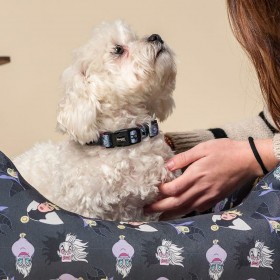Collare per Cani Disney Villains Grigio M/L