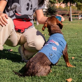 Giacca per cani Minnie Mouse Azzurro M
