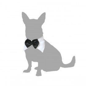Costume per Cane Papillon M